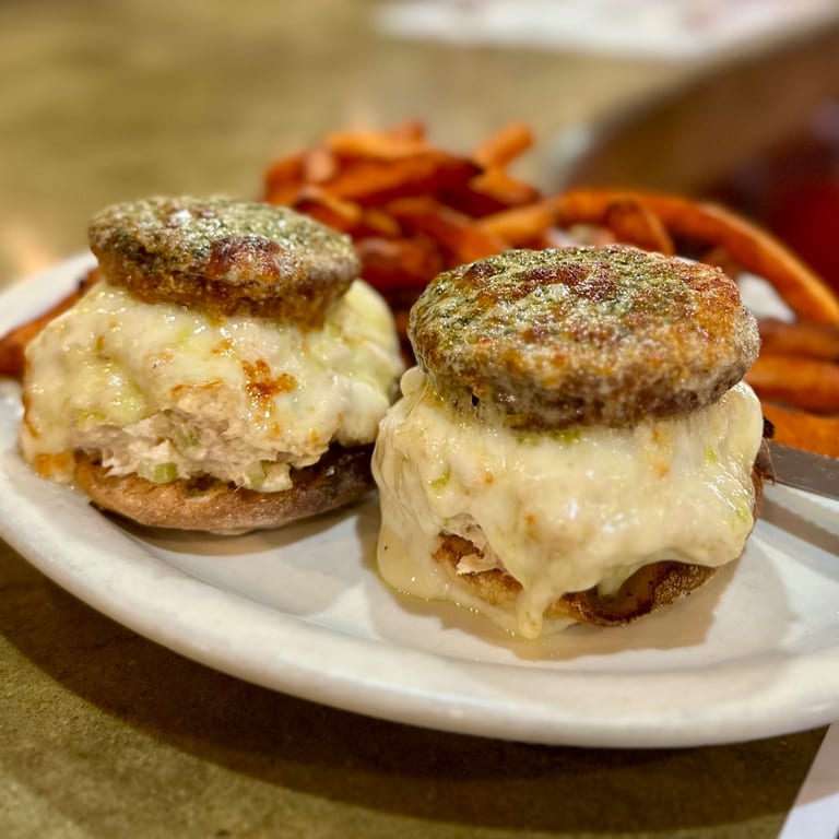 Delicious Tuna Melt Sandwich